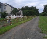 3 Rail Wood Split Rail Fence