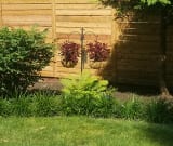 primary-wood-fence